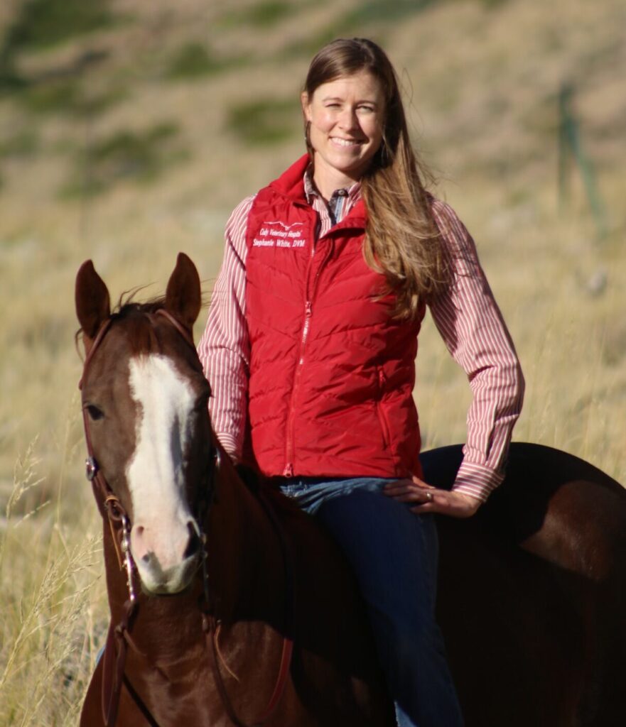 Veterinarian